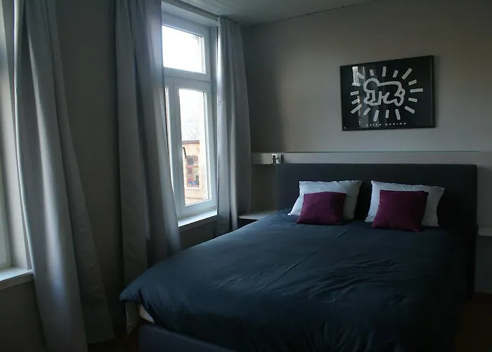 Feliz Pensjonat Leuven